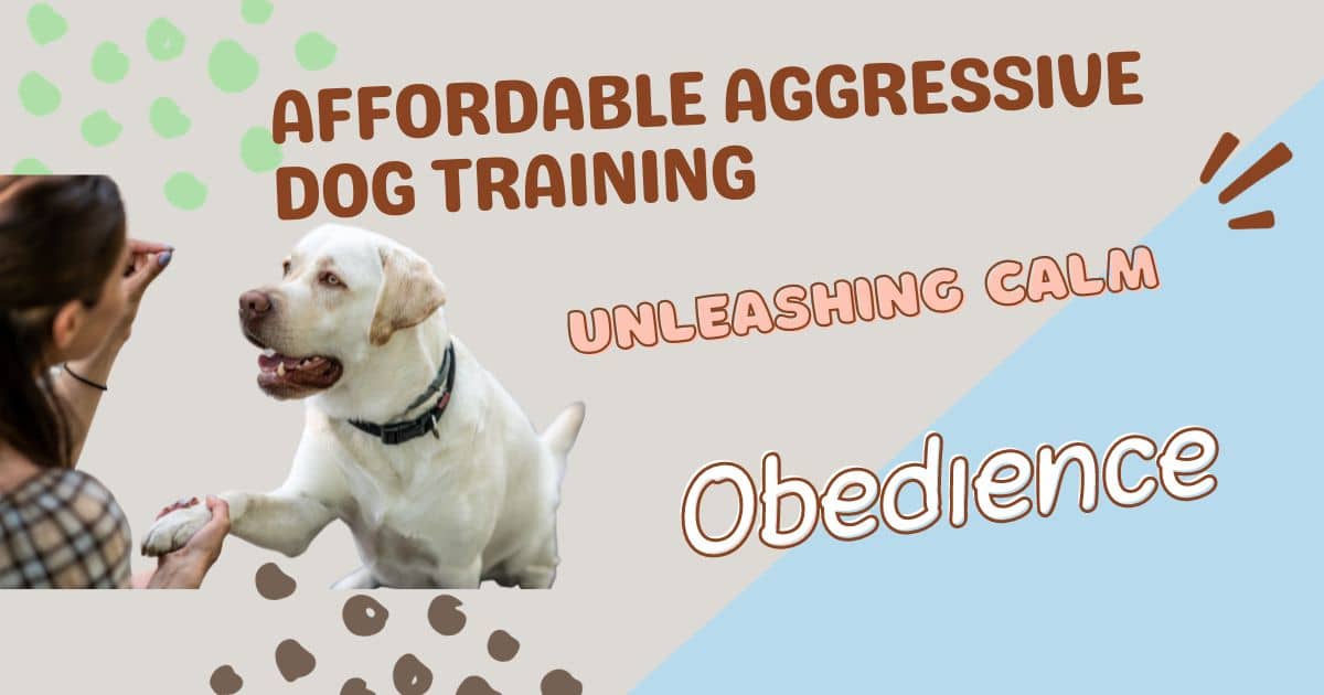Affordable Aggressive Dog Training Best Guidance 2024