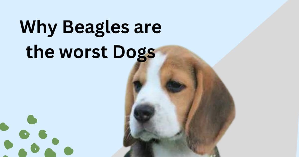 Beagles are hot sale the worst