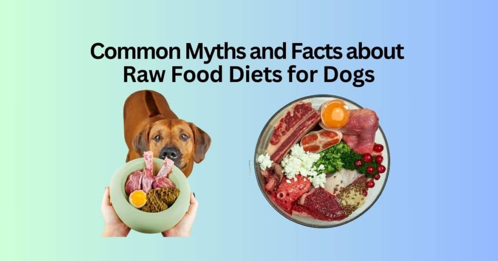 Raw Food Diets For Dogs Pros And Cons
