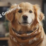 Lilika dog grooming