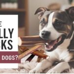 Are Bully Sticks Safe for Dogs